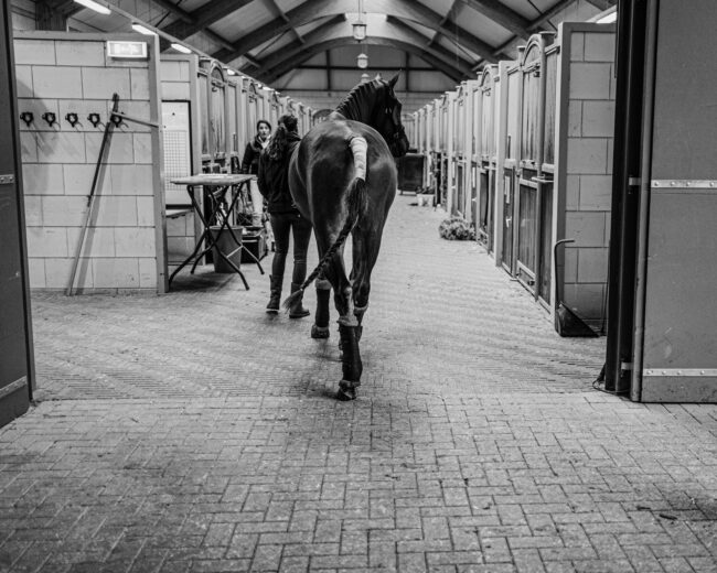 Administratieve organisatie