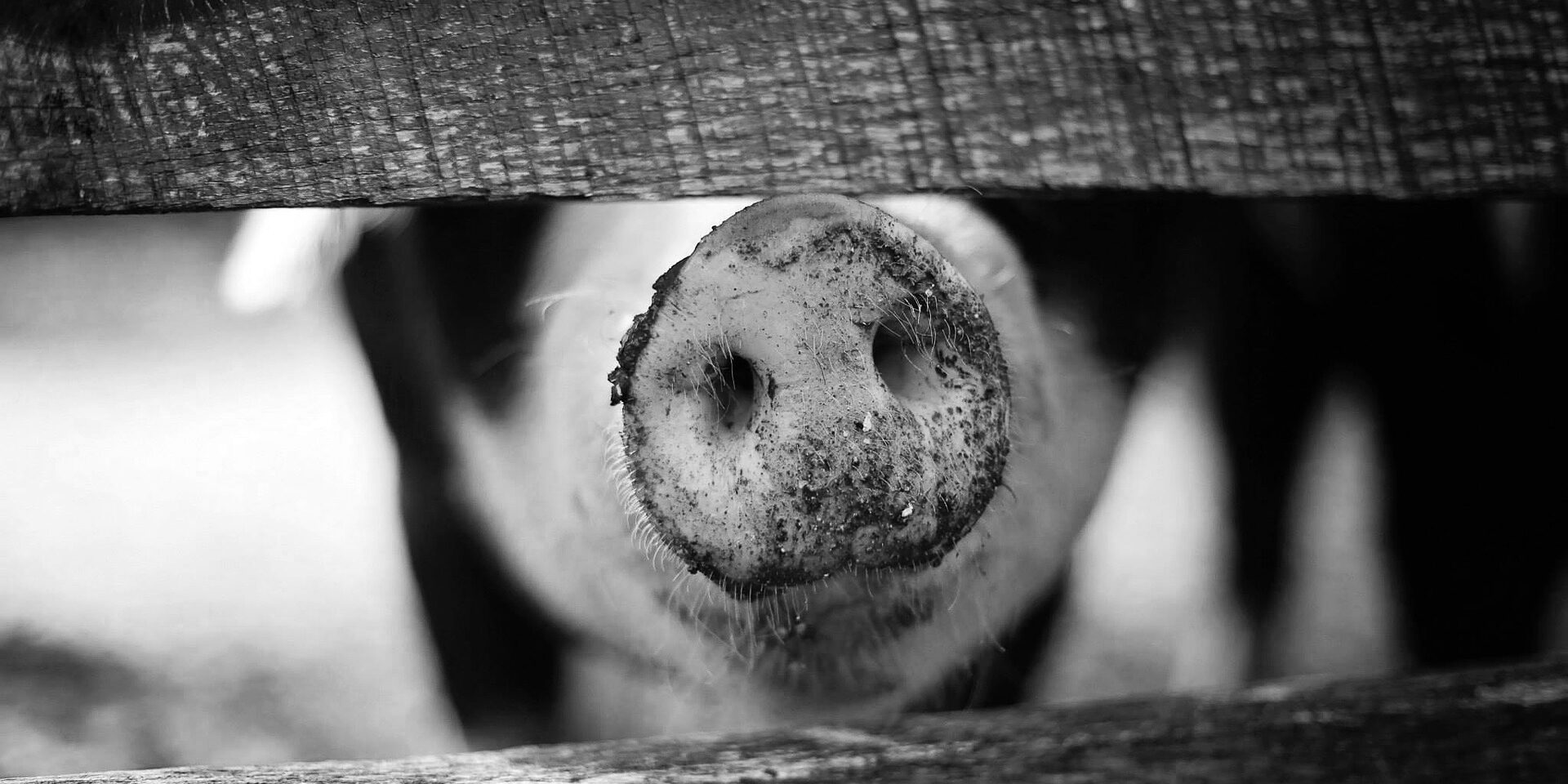 review ondernemingswaarde Testimonial Ondernemingswaarde