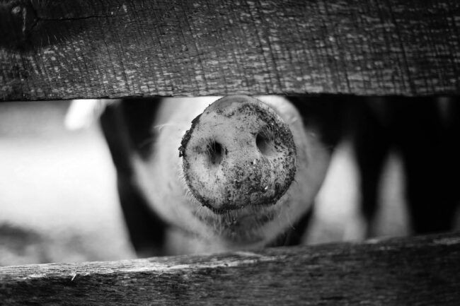 Testimonial Ondernemingswaarde